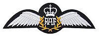 WW2 RAF Pilots Secret Grave Found In Albania