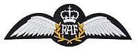 WW2 RAF Pilots Secret Grave Found In Albania